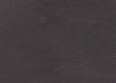 Lederboden und Lederwand Continental Fine Black